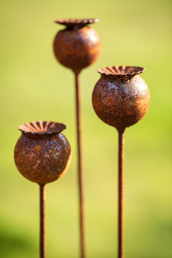 Bornhöft Piquet de jardin en forme d'escargot - En métal rouillé -  Décoration de jardin rouillée - 30 cm