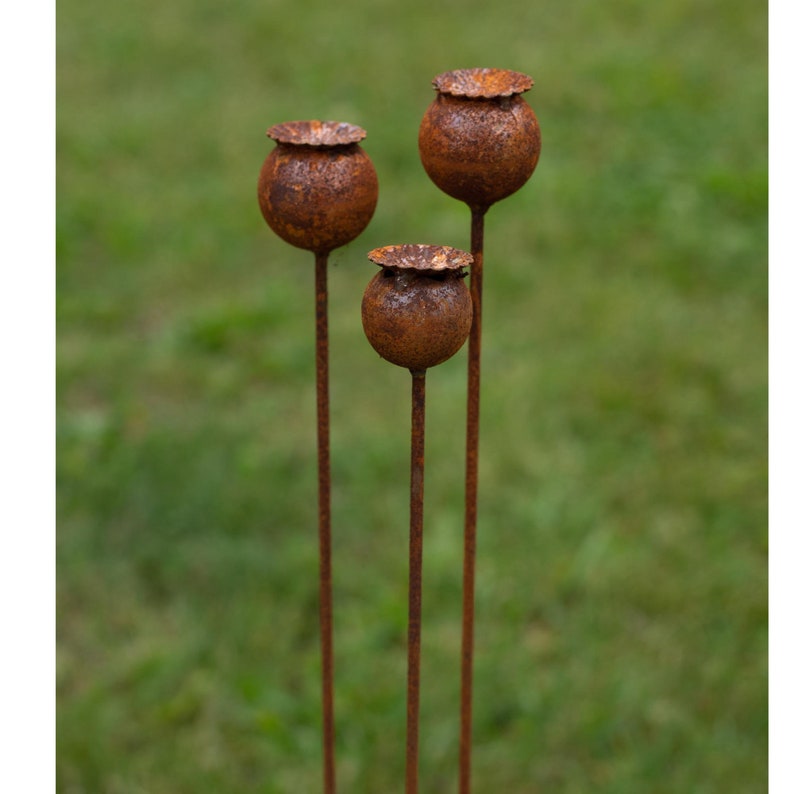 Peut inclure: Trois ornements de jardin en m&eacute;tal rouill&eacute; en forme de t&ecirc;tes de graines de pavot. Chaque ornement a une t&ecirc;te de graine sph&eacute;rique sur une tige fine. Les t&ecirc;tes de graines ont un aspect textur&eacute; et vieilli, et les tiges sont fines et droites.
