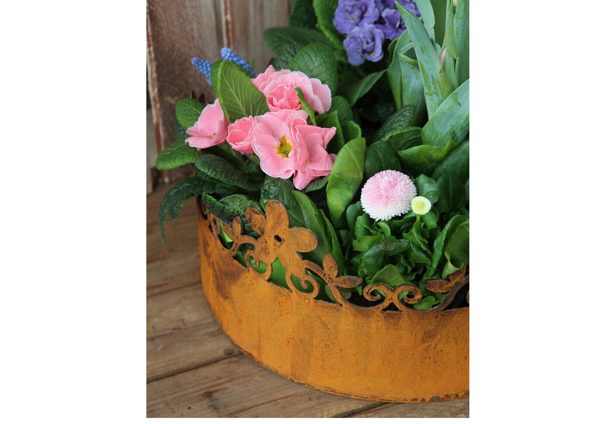 Ciotola Piante Padella Ruggine Grande Vaso Da Fiori Giardino Per Stile - Foto 2