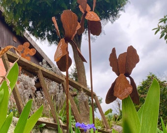 Bornhöft Juego de 3 estacas de jardín con flores de iris, iris, metal, óxido, decoración de jardín, pátina, enrejado, estaca para cama, maceta, óxido natural