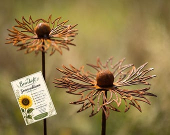 Gartenstecker Geschenkeset 2 Kornblumen Gartenstecker in Edelrost Optik mit Sonnenblumen-Samentüte Metall Gartendeko Set Bornhöft Gartendeko