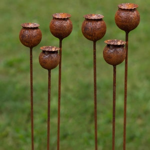 Peut inclure: Six sculptures de jardin en m&eacute;tal rouill&eacute; en forme de capsules de graines. Chaque capsule est ronde avec une surface textur&eacute;e et un petit chapeau fronc&eacute;. Les sculptures sont sur de fines tiges verticales, sur un fond vert flou.