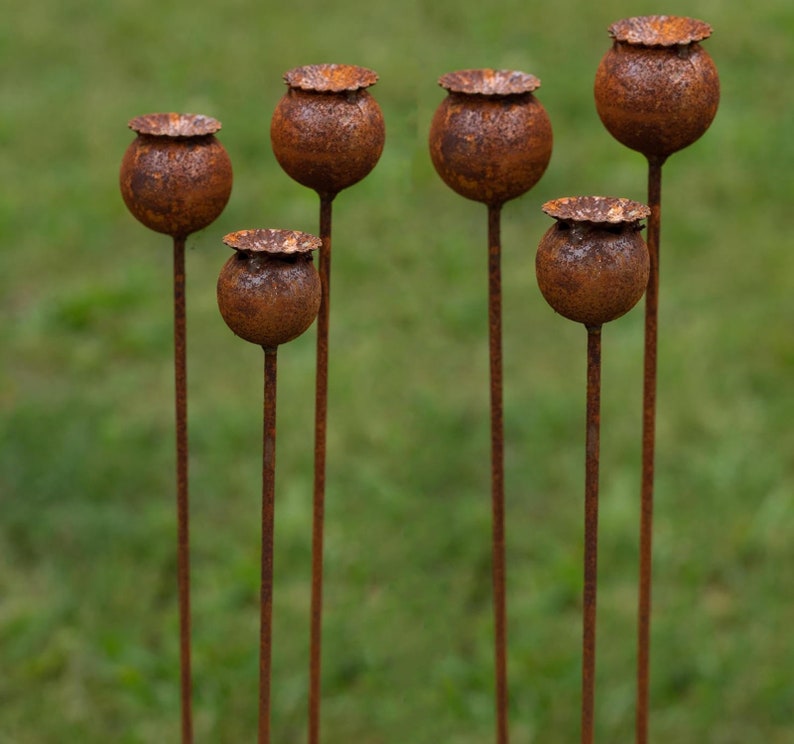 Peut inclure: Six sculptures de jardin en m&eacute;tal rouill&eacute; en forme de capsules de graines. Chaque capsule est ronde avec une surface textur&eacute;e et un petit chapeau fronc&eacute;. Les sculptures sont sur de fines tiges verticales, sur un fond vert flou.