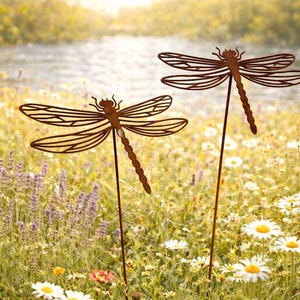 May include: Two brown metal dragonfly garden stakes featuring intricate cut-out wing patterns and segmented bodies. Each dragonfly is mounted on a thin, straight metal rod, designed to be inserted into the ground for outdoor display.