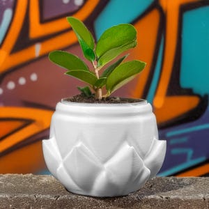 8 Größen | 7 Farboptionen | Blüten-Blatt Blumentopf | Strukturierter Übertopf für Pflanzen | Mehrere Größen | mit Drainage