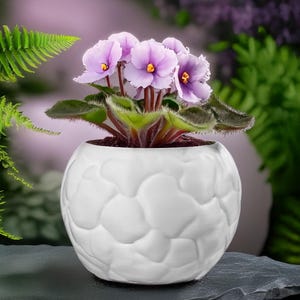 8 Sizes | 7 Color Options | Pebble Delight Pot | Textured Planter for Plants, Multiple Sizes, with Drainage