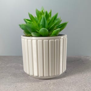 Op de afbeelding: Een witte keramische pot met verticale lijnen, met een groene succulent plant.