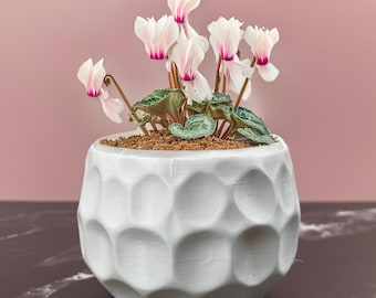 8 Sizes | 7 Color Options | Bubble Bliss Planter | Textured Planter for Plants | Multiple Sizes | with Drainage