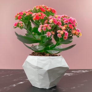 6 Sizes - 6 Color Options - Modern Geo Gem Planter – Textured Planter for Plants, Multiple Sizes, with Drainage