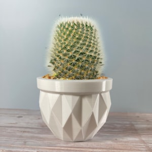 6 Sizes - 6 Color Options - DiamondFacet Planter -  Textured Planter for Plants, Multiple Sizes, with Drainage