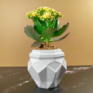 6 Sizes - 6 Color Options - Jewel Facet Planter – Textured Planter for Plants, Multiple Sizes, with Drainage