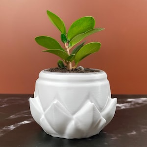 6 Sizes - 6 Color Options - Bloom Petal Pot – Textured Planter for Plants, Multiple Sizes, with Drainage