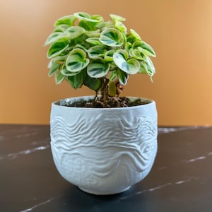 6 Sizes - 6 Color Options - Fingerprint Earth Planter – Textured Planter for Plants, Multiple Sizes, with Drainage
