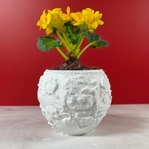 Puede incluir: Una maceta de cerámica blanca texturizada con una planta floreciente de flores amarillas brillantes. La planta tiene hojas verdes y un grupo de flores amarillas. La maceta es redonda y tiene un patrón detallado en relieve. El fondo es rojo.