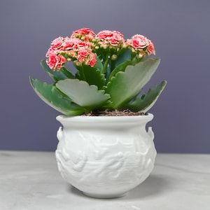 6 Sizes - 6 Color Options - Whispering Petal Pot – Textured Planter for Plants, Multiple Sizes, with Drainage