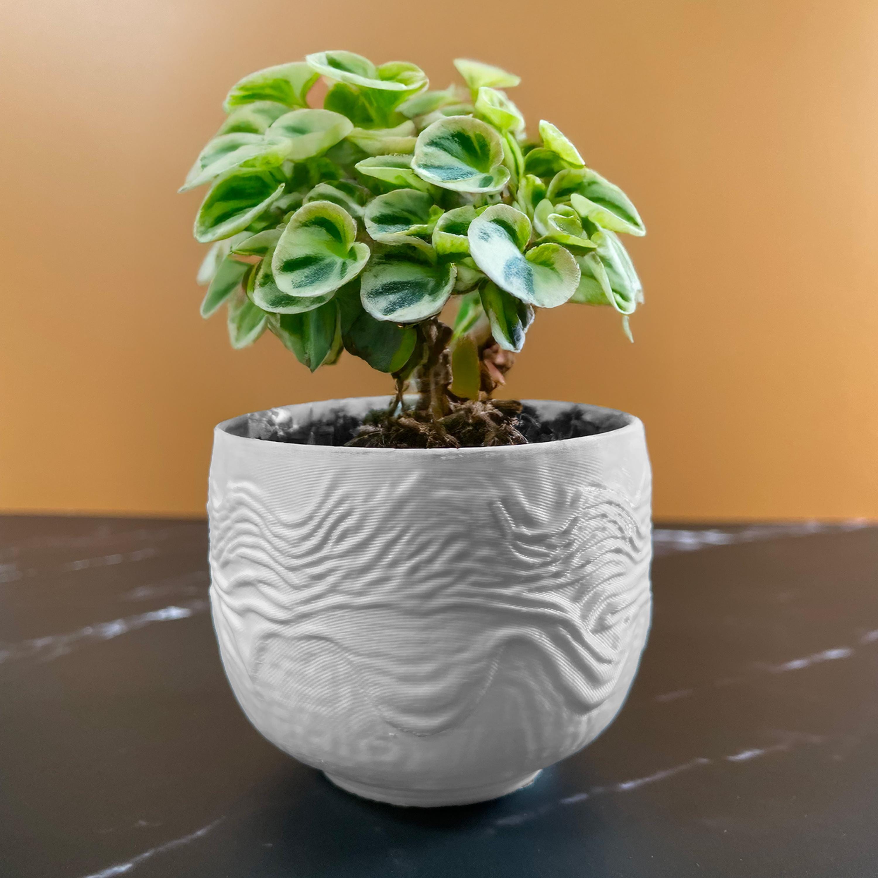 Plant Pot 6 Inches - Etsy UK