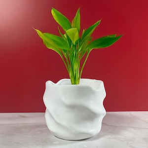Op de afbeelding: Een witte, getextureerde keramische plantenpot met een uniek, wervelend ontwerp, met een levendige groene plant met lange, puntige bladeren. De heldergroene kleur van de plant contrasteert met de witte pot, tegen een dieprode achtergrond. Een modern decoratief item.