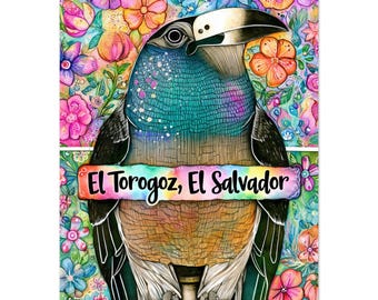 El Torogoz Giclée Art Print, Colorful Salvadoran National Bird Wall Decor El Salvador Gift