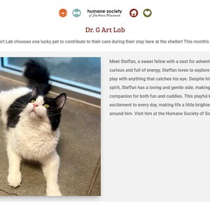 May include: A black and white cat with green eyes lies on a gray tiled floor, looking up. The cat is featured in a "Dr. G Art Lab" post about a lucky pet of the month.