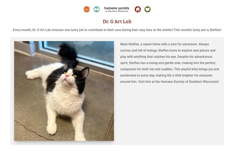 May include: A black and white cat with green eyes lies on a gray tiled floor, looking up. The cat is featured in a "Dr. G Art Lab" post about a lucky pet of the month.