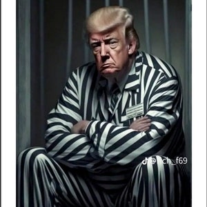 PRISONER TRUMP Trading Cards - Een fantastisch cadeau voor ALLE Trump Haters