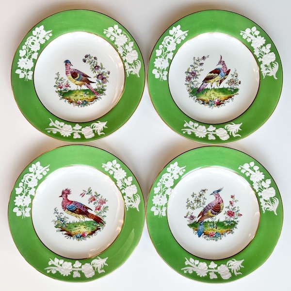 Spode Exotische vogel/pauw/fazant rand lunchborden, 8,5 inch zeldzame verzamelbare Spode