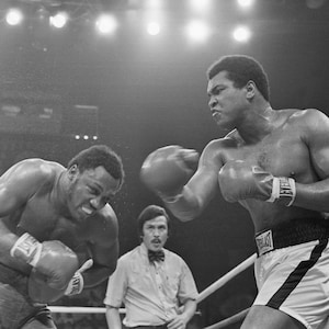 Muhammad Ali Painting • Sting Like A Bee • Canvas print | Wall decoration living room, bedroom, office | Muhammad Ali Canvas