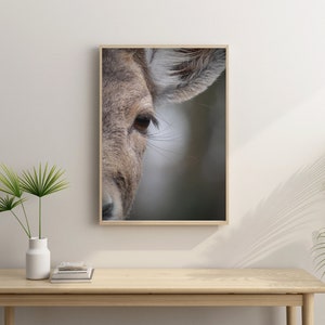 Poster Reh Hirsch / Wald / Wandbild mit Holzrahmen / Geschenk Umzug / Einweihungsfeier / Fotografie / DIN A3