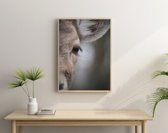 Poster Deer / Forest / Mural with Wooden Frame / Gift Parade / Housewarming Party / Photography / DIN A3