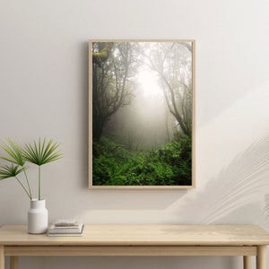 Carteles / Bosque Místico / Niebla / Bosque Místico Encantado / Mudanza de Regalos / Papel Fotográfico / La Gomera