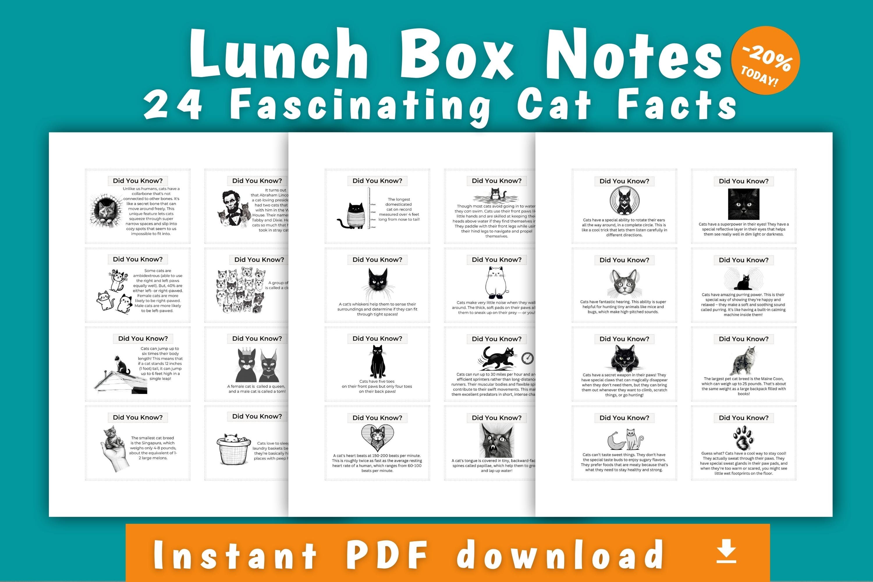 Lunch Box Notes for Kids With 24 Fascinating Cat Facts Cat Lover