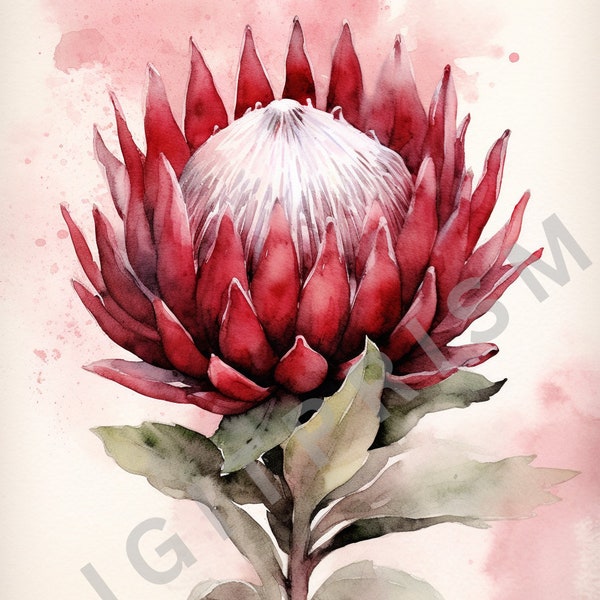 Red Protea Watercolour Illustration - Digital Download - Flower AI Art - Botanical Art - Watercolour Style - Home & Wall Decor - Printable