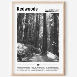 Redwoods Poster Schwarz Weiß, Redwoods Poster Schwarz Und Weiß, Redwoods Wandkunst, Minimal Travel Print, Reise Poster