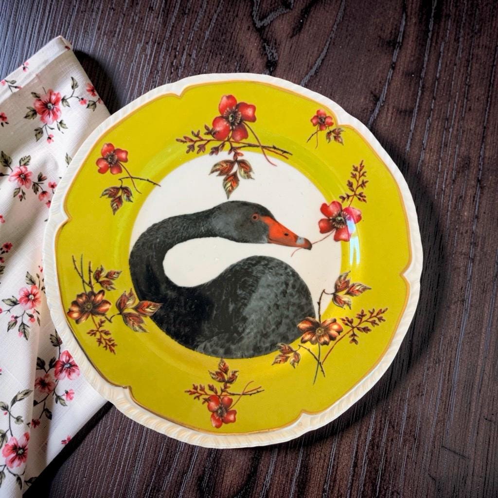 Lou Rota Nature Table Plates - Etsy