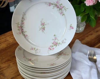Vintage Charles Field Haviland/ GDA Limoges Dinner Plates,pink