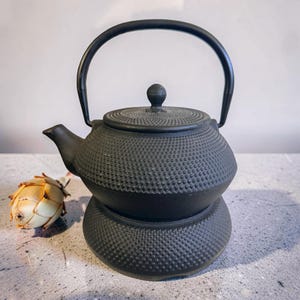 Può includere: Teiera in ghisa nera con base abbinata e manico curvo. La teiera ha una superficie strutturata con un piccolo pomello sul coperchio. Un fiore secco è a sinistra della teiera.