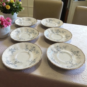 Puede incluir: Seis platillos de porcelana blanca con un estampado floral azul y ribete dorado están dispuestos sobre un mantel blanco. Los platillos son redondos con un centro ligeramente elevado. Flores en jarrones en el fondo.