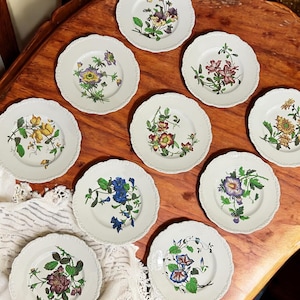 May include: A collection of white ceramic plates with scalloped edges, each adorned with a different floral design in vibrant colors. The plates feature various flowers and foliage, creating a botanical theme.