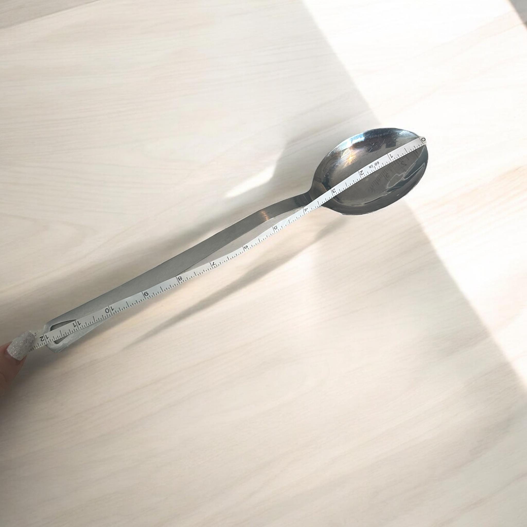 Oneida 12 Inches Serving Spoon, - Etsy