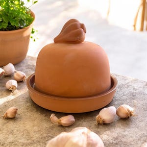 Pode incluir: Um recipiente de alho de terracota com uma tampa em forma de cúpula e uma pequena pega. O recipiente assenta numa base a condizer, rodeado por dentes de alho. Uma planta em vaso é visível no fundo.