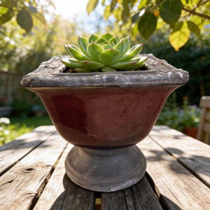 May include: A green succulent plant in a burgundy pedestal planter. The planter has a decorative rim and sits on a weathered wooden table. The background is a blurred garden view.