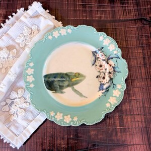 Pu&ograve; includere: Un piatto rotondo in ceramica con bordo smerlato caratterizzato da una cornice azzurra decorata con accenti floreali bianchi in rilievo. Il centro del piatto mostra un'illustrazione dettagliata di una rana verde e un grappolo di fiori bianchi.