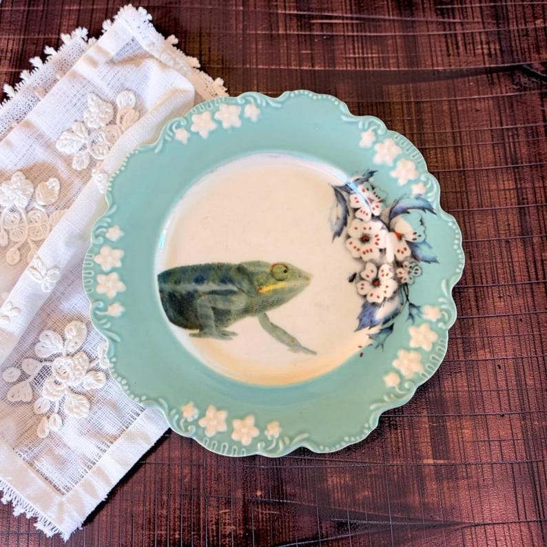 Pu&ograve; includere: Un piatto rotondo in ceramica con bordo smerlato caratterizzato da una cornice azzurra decorata con accenti floreali bianchi in rilievo. Il centro del piatto mostra un'illustrazione dettagliata di una rana verde e un grappolo di fiori bianchi.