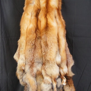 Tanned red fox professional soft tanned silky fur