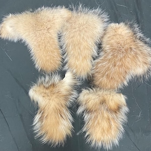 May include: Five pieces of light brown fur with a mix of tan and white highlights. The fur appears soft and fluffy, with a natural texture. The pieces are arranged on a dark surface, showcasing their color and detail.