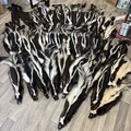 Tanned skunk hide Real fur ethically sourced fur skunk pelt fly tying fur craft