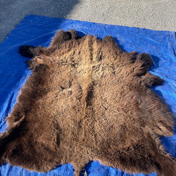 Buffalo Hide Etsy