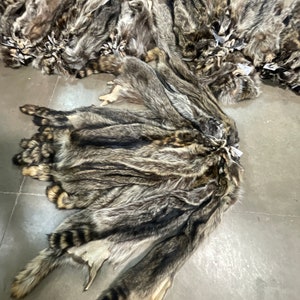 Raccoon hide garment tanned