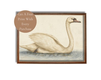Vintage Swan Art Print, Antique Nursery Wall Decor, Neutral Wildlife Artwork Instant Digital Download