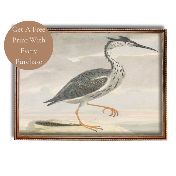 Blue Heron Printable Art Vintage Coastal Wall Art Beach House Decor Bird Oil Painting Instant Digital Download